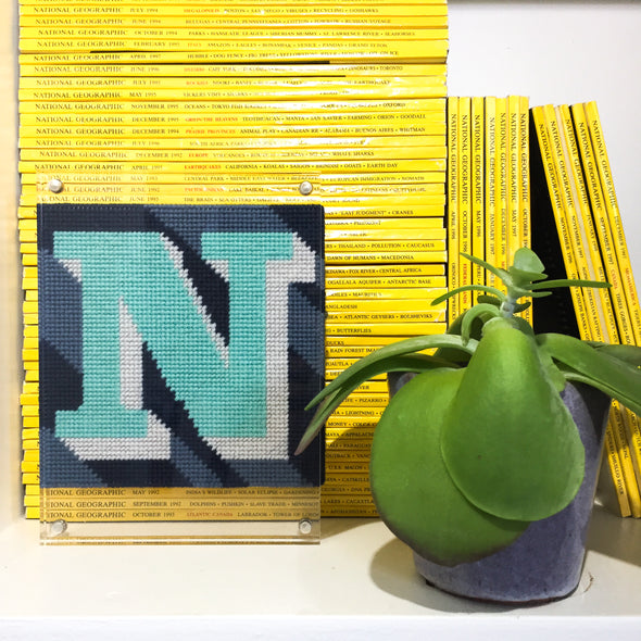 Customisable Neutral ‘N’ Alphabet Needlepoint Kit